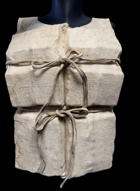 Titanic kazasından kurtulan yolcuya ait can yeleği açık artırmaya çıkıyor